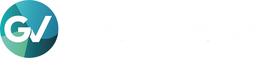 GVG